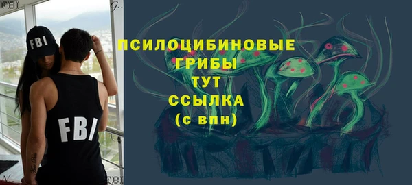 сатива Кинешма