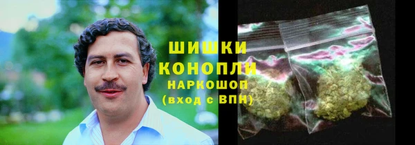сатива Кинешма