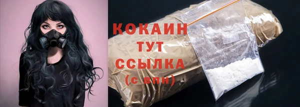 сатива Кинешма