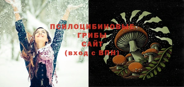 apvp Киреевск