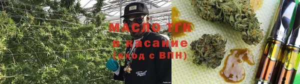 сатива Кинешма