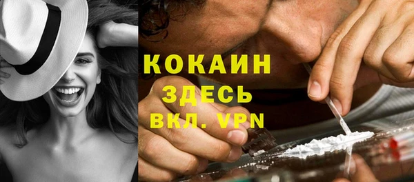 сатива Кинешма