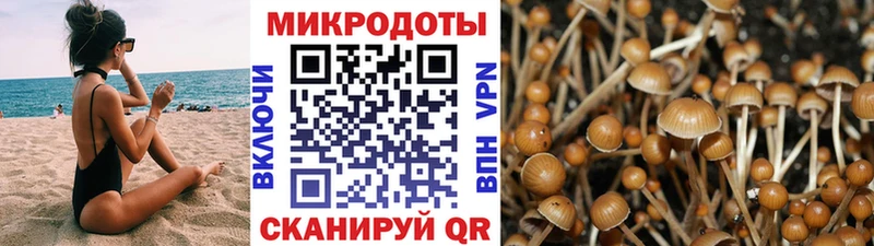 Купить  Краснознаменск  Галлюциногенные грибы ЛСД 
