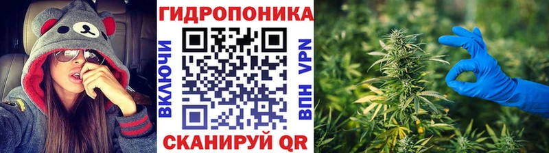 Купить закладки  Краснознаменск  Марихуана AK-47 